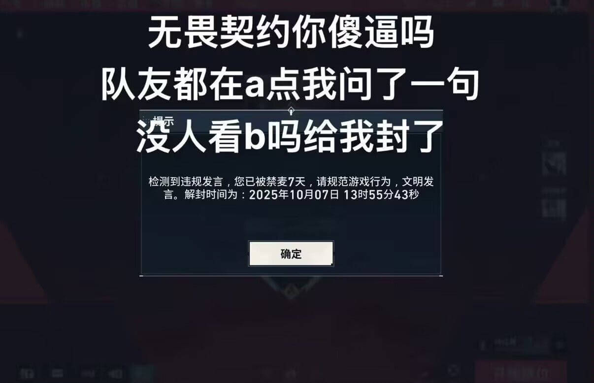 无畏契约你傻逼吗队友都在a点我问了一句没人看b吗给我封了检测