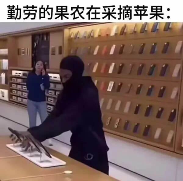 勤劳的果农在采摘苹果：