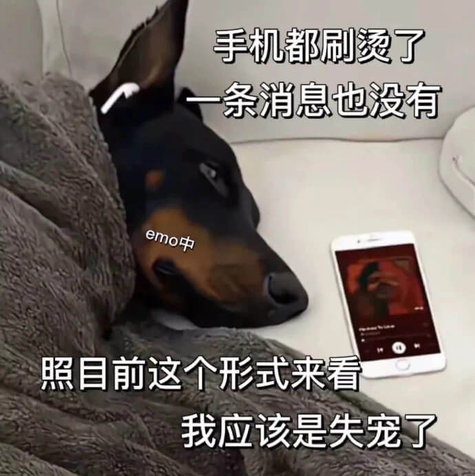 手机都刷烫了一条消息也没有emo中照目前这个形式来看我应该是