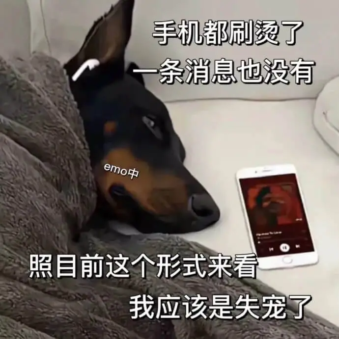 手机都刷烫了一条消息也没有emo中照目前这个形式来看我应该是