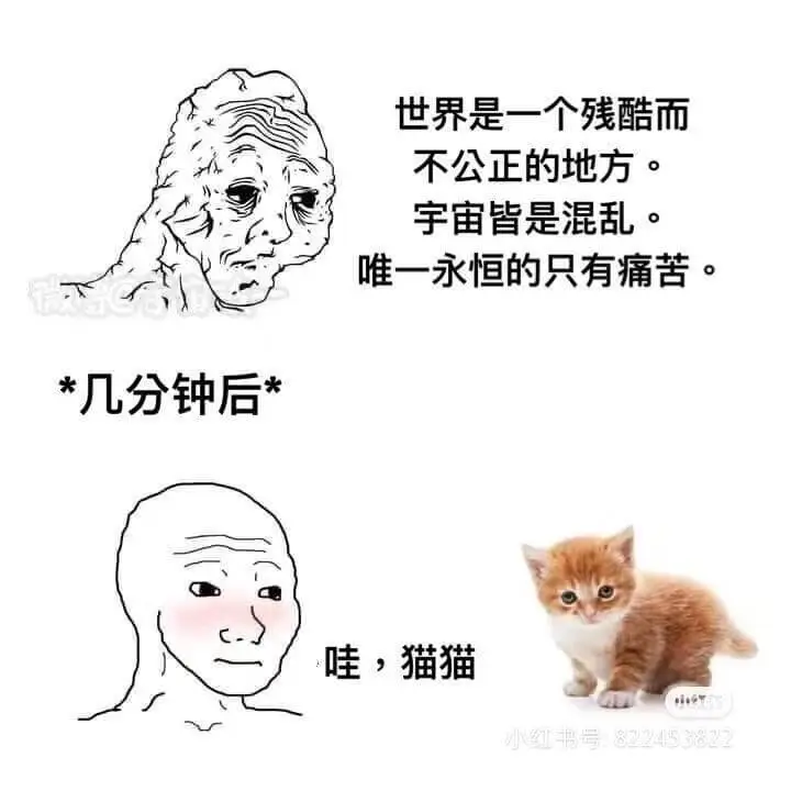 世界是一个残酷而不公正的地方。宇宙皆是混乱。唯一永恒的只有痛