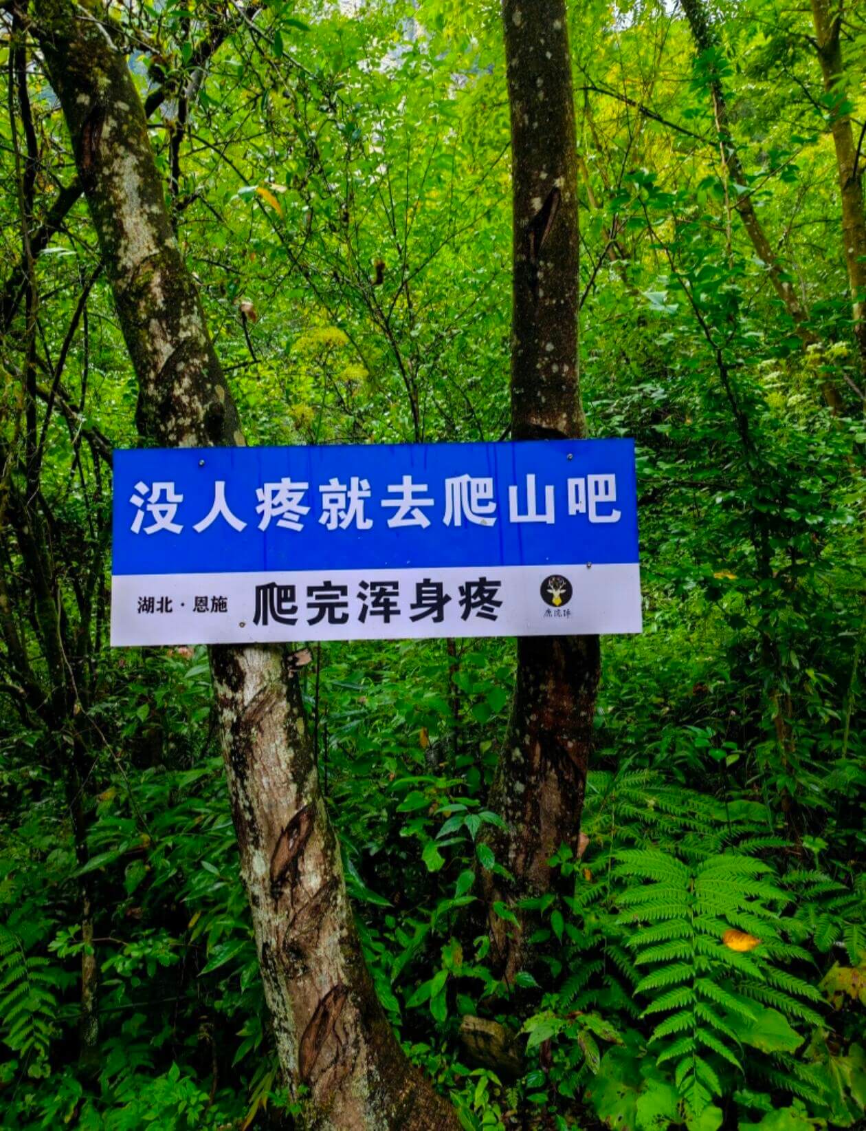 没人疼就去爬山吧爬完浑身疼湖北·恩施