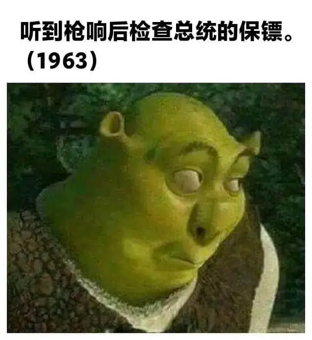 听到枪响后检查总统的保镖(1963)