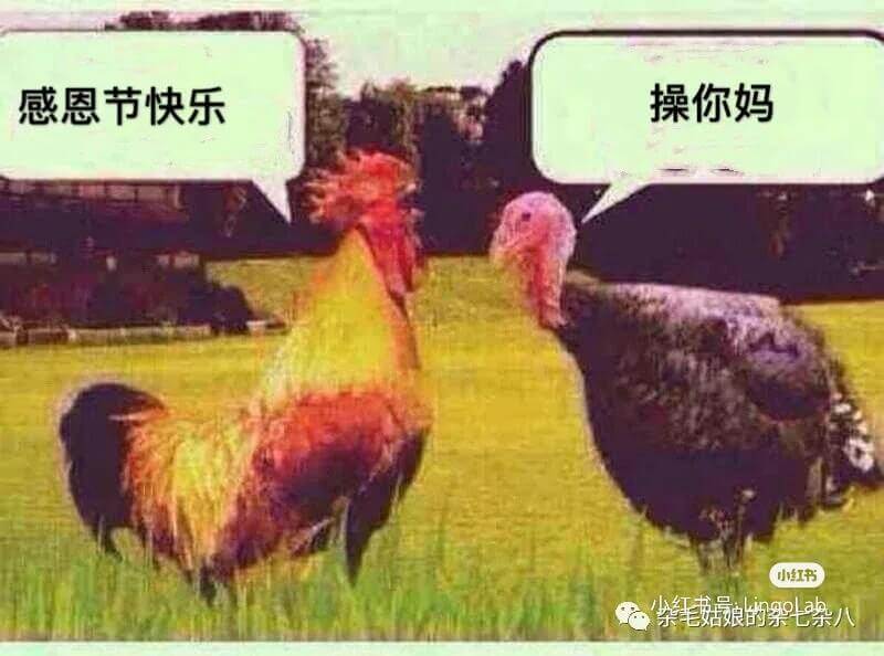 感恩节快乐操你妈小红书紫毛菇娘的繁七杂