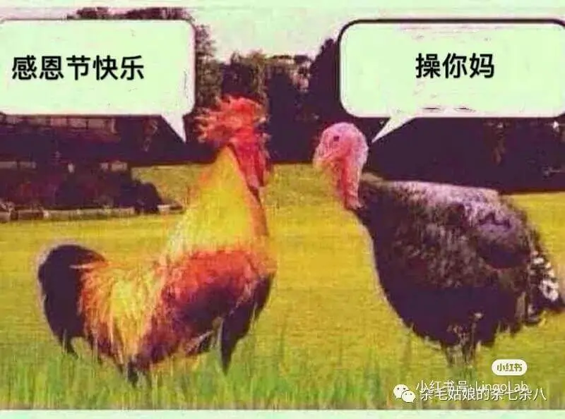 感恩节快乐操你妈小红书紫毛菇娘的繁七杂