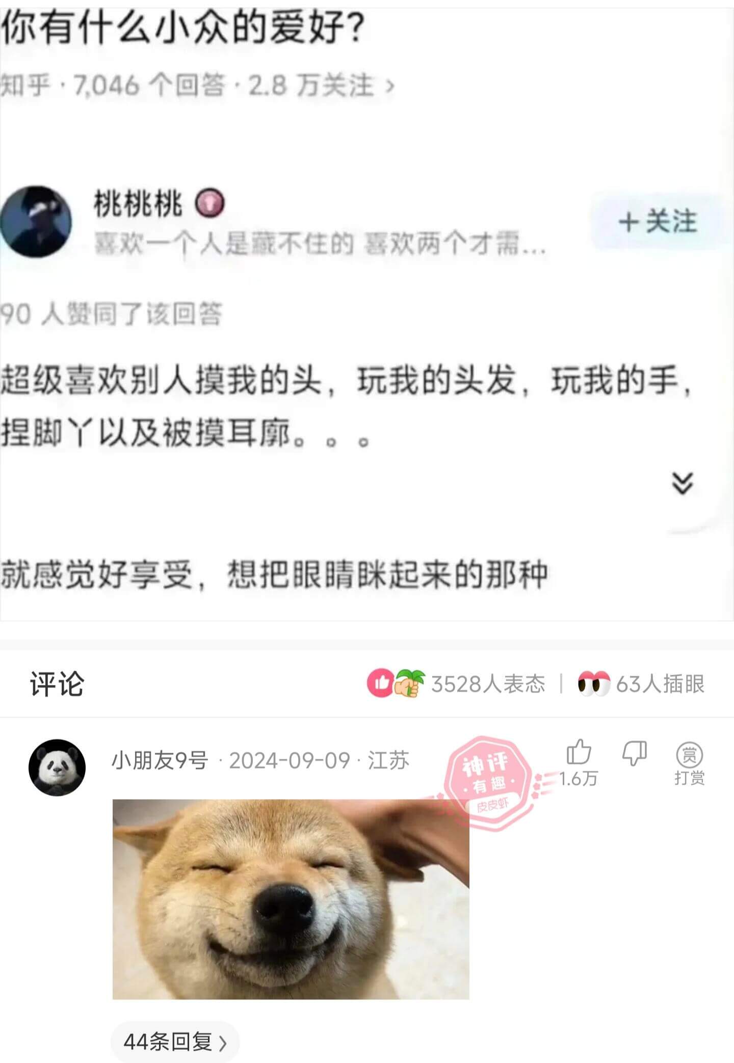 你有什么小众的爱好？知乎，7.046个回答·2.8万关注》桃