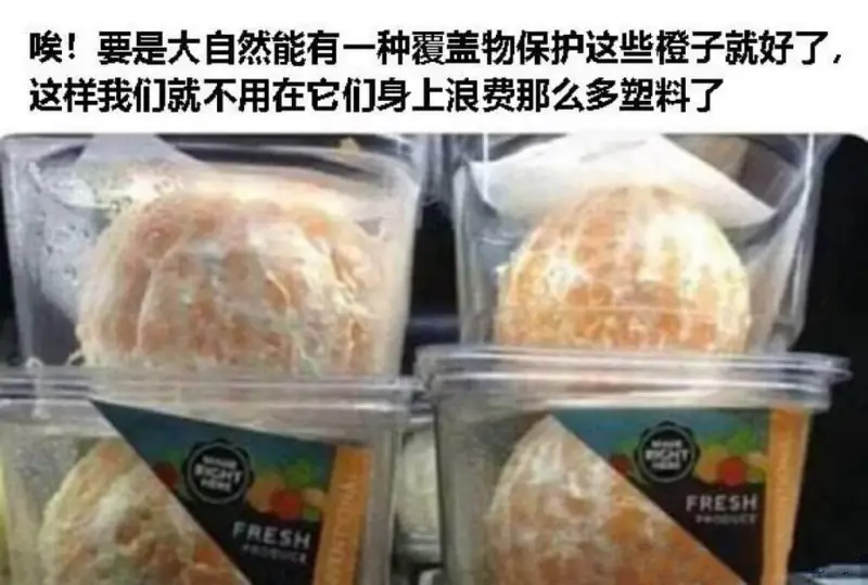 唉!要是大自然能有一种覆盖物保护这些橙子就好了,这样我们就不
