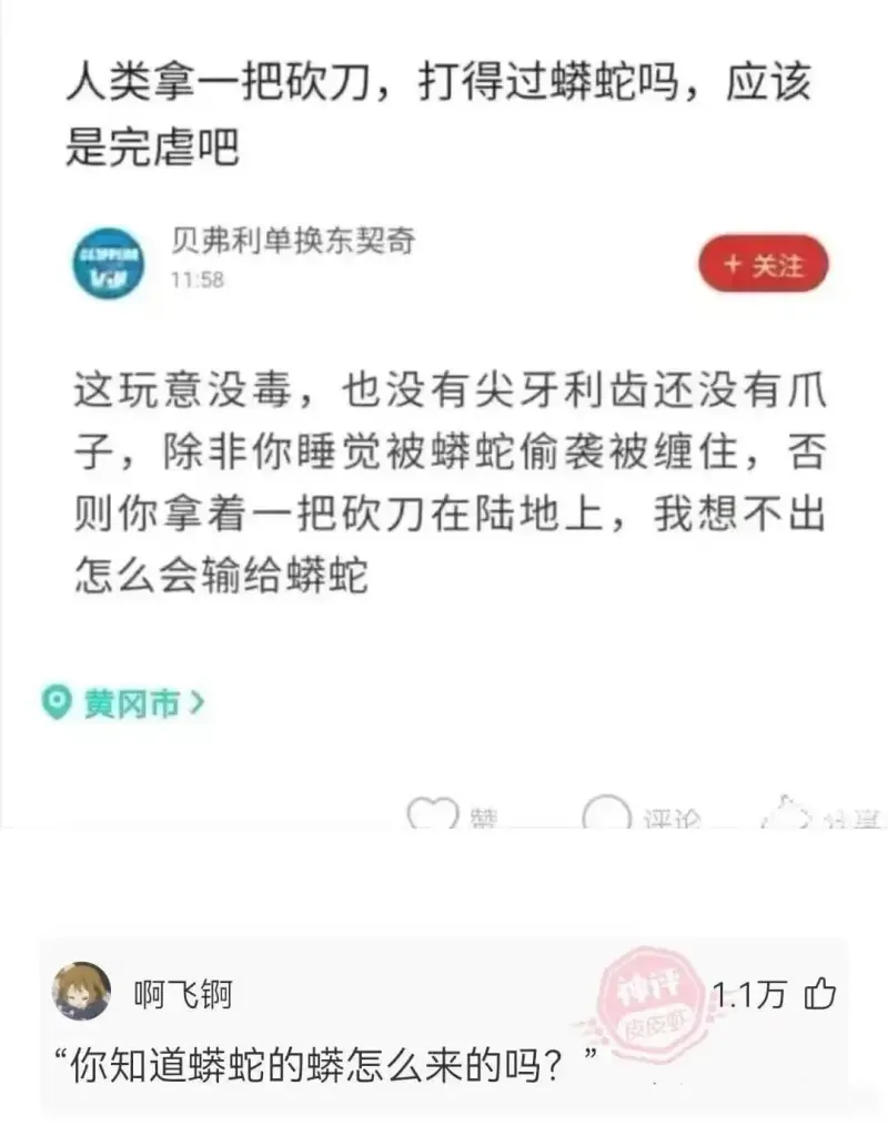 人类拿一把砍刀，打得过蟒蛇吗，应该是完虐吧P贝弗利单换东契奇