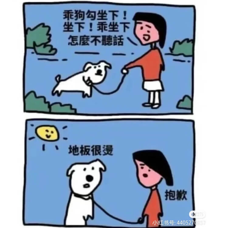 乖狗勾坐下！坐下！乖坐下。怎么不说话？地板很滑。抱歉。小红书