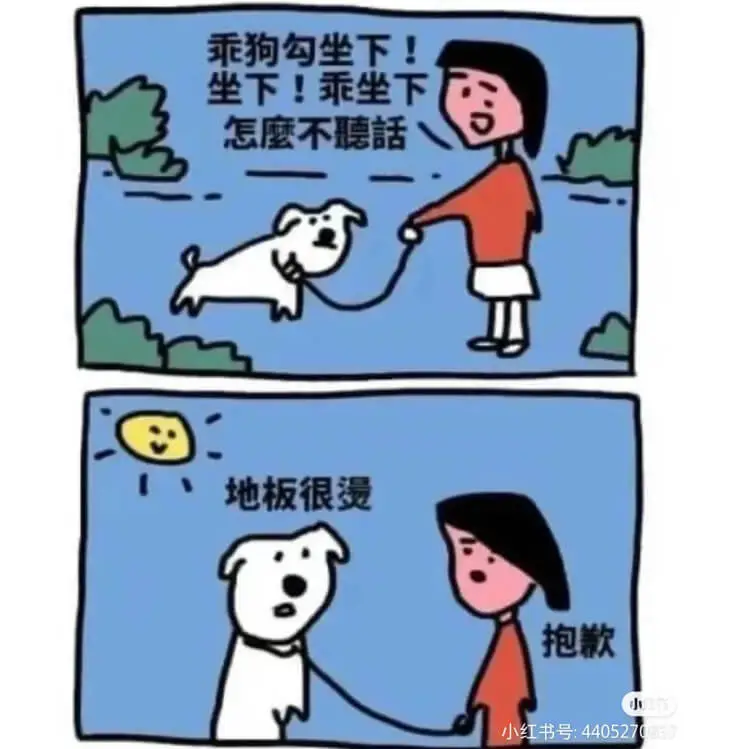 乖狗勾坐下！坐下！乖坐下。怎么不说话？地板很滑。抱歉。小红书