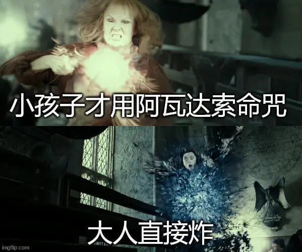 小孩子才用阿瓦达索命，大人直接炸。
