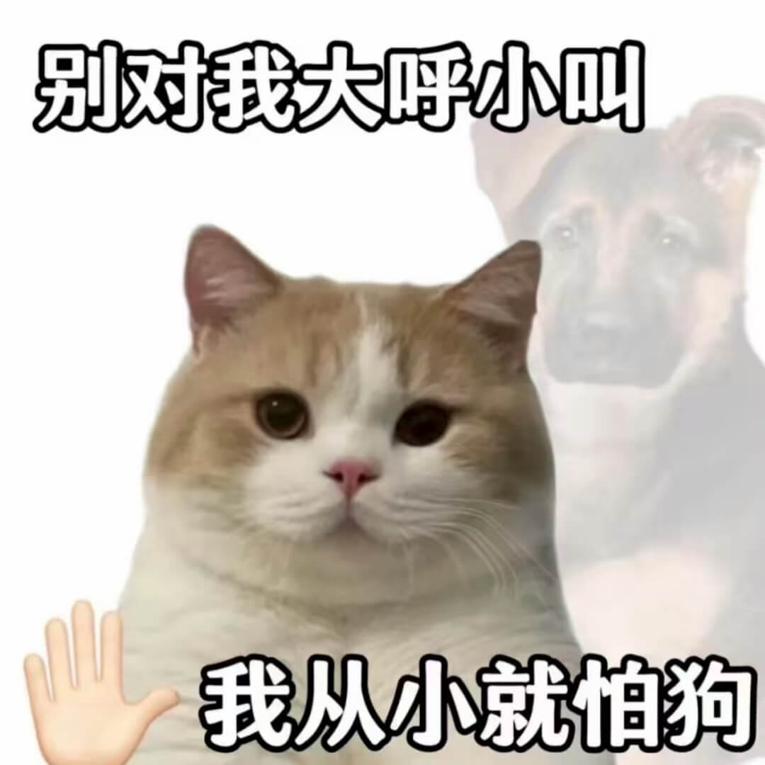 别对我大呼小叫。我从小就怕狗。
