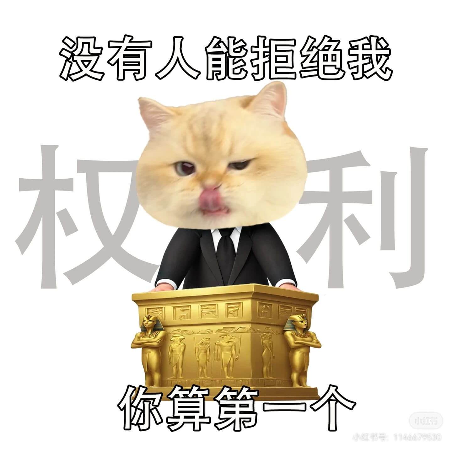 没有人能拒绝我的权利,你算第一个。小红书号:11466795