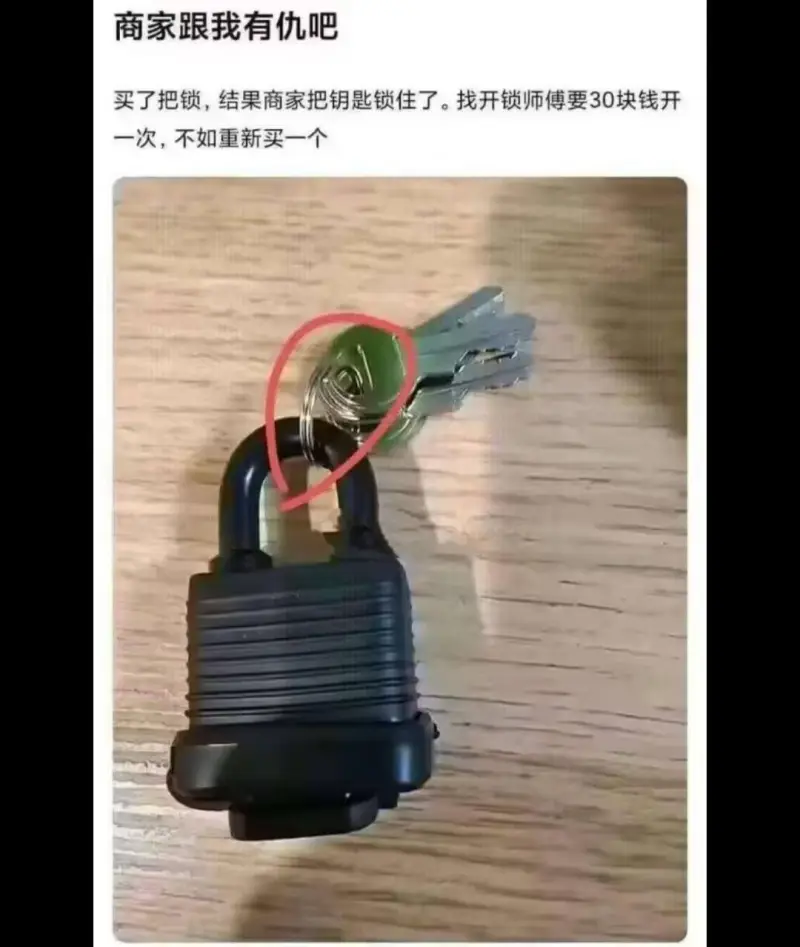 商家跟我有仇吧。买了把锁，结果商家把钥匙锁住了。找开锁师傅要