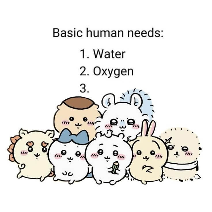 Basichumanneeds:1.Water2.Oxyge