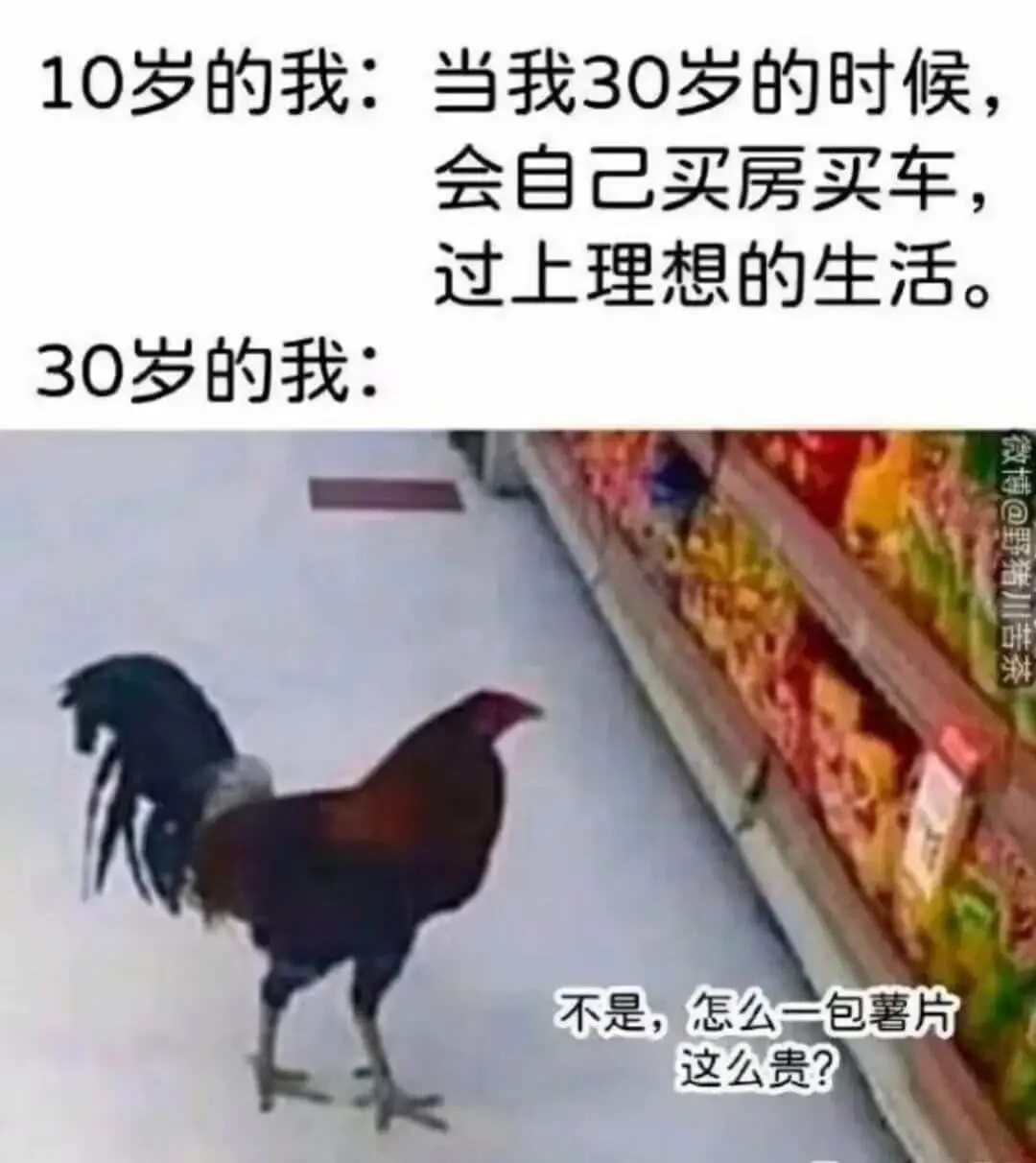 10岁的我:当我30岁的时候，会自己买房买车，过上理想的生活