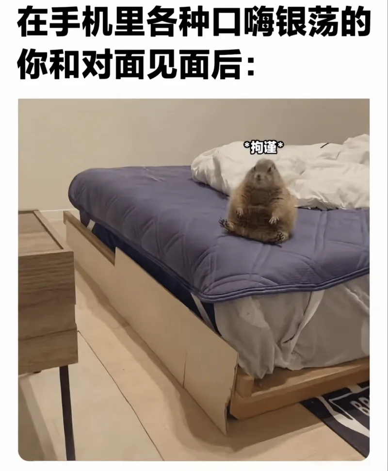 在手机里各种口嗨银荡的你和对面见面后：？拘谨*