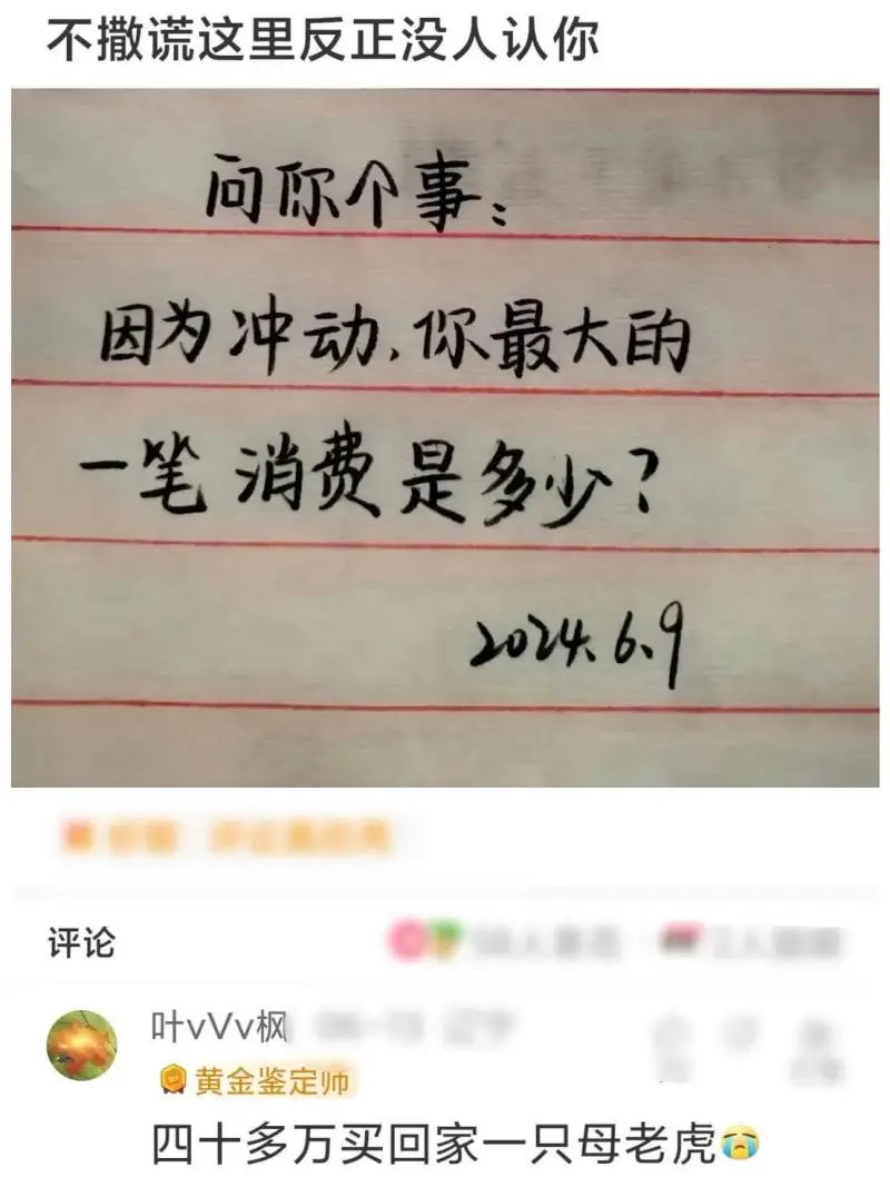 不撒谎这里反正没人认你。问你个事：因为冲动，你最大的一笔消费