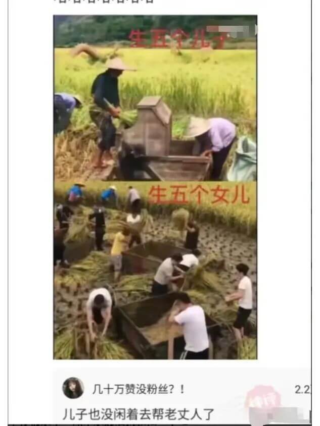 生五个女儿几十万赞没粉丝？！2.2儿子也没闲着去帮老丈人了