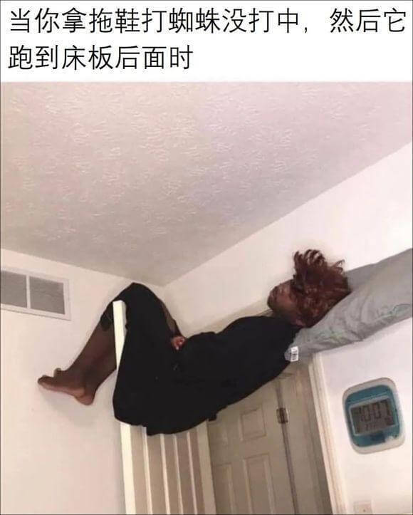 当你拿拖鞋打蜘蛛没打中，然后它跑到床板后面时