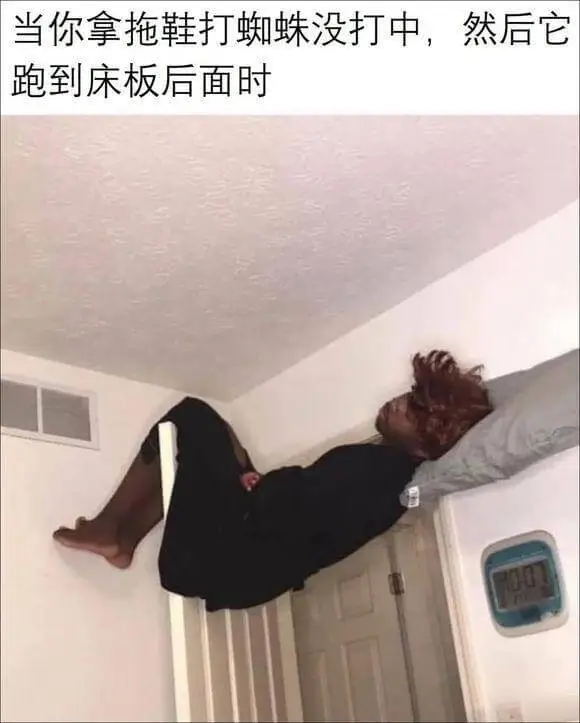 当你拿拖鞋打蜘蛛没打中，然后它跑到床板后面时