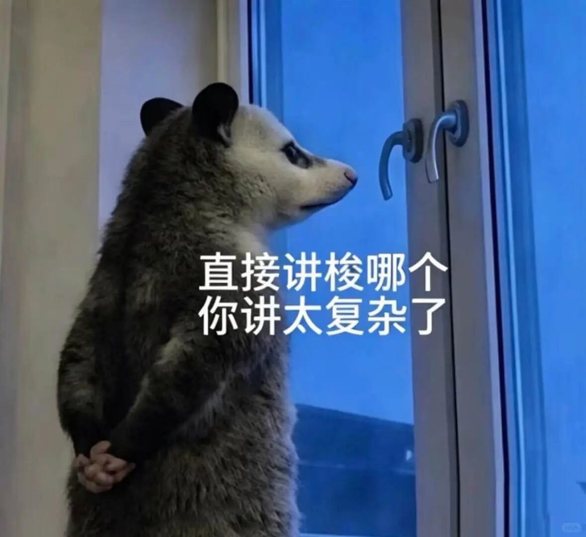 直接讲梭哪个？你讲太复杂了。