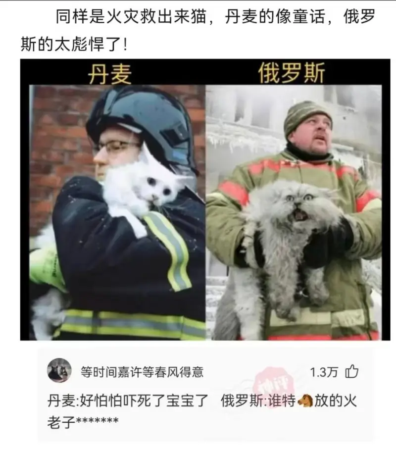 同样是火灾救出来的猫，丹麦的像童话，俄罗斯的太彪悍了！俄罗斯