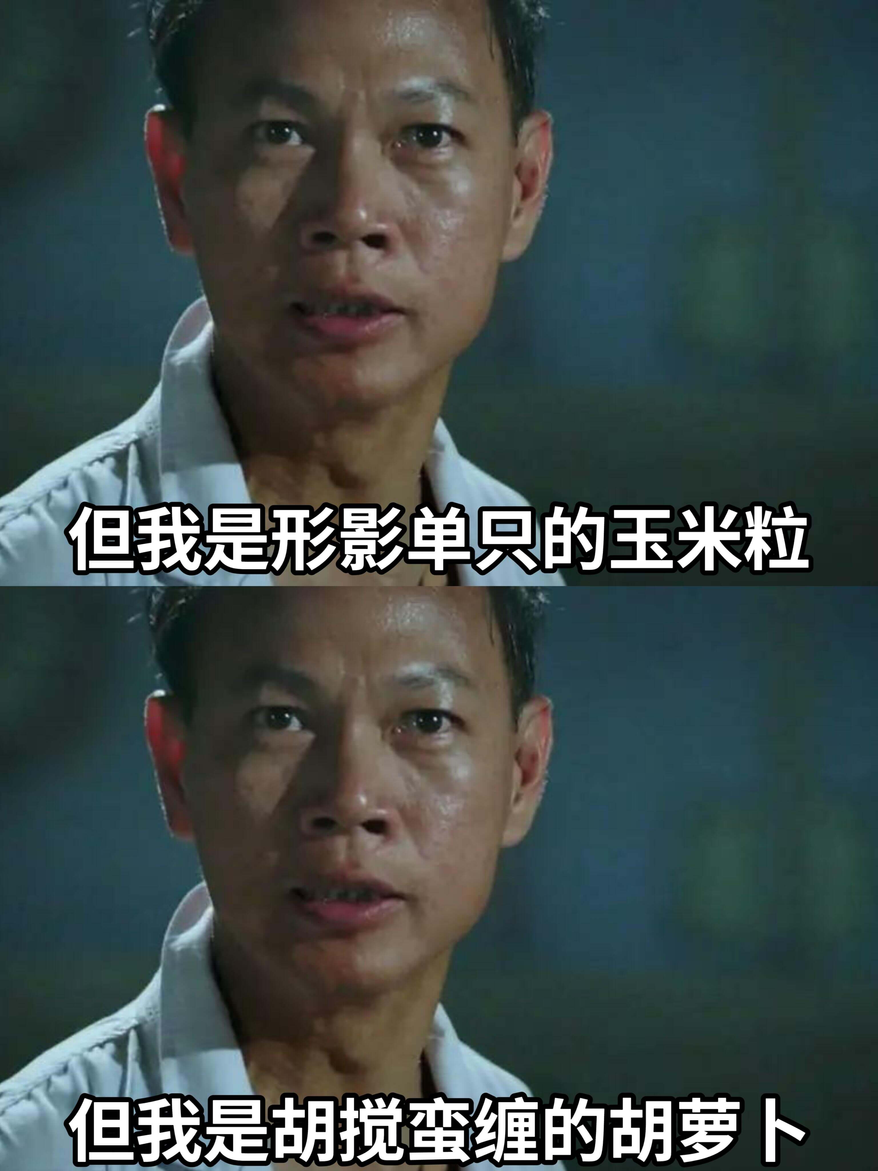 但我是形影单只的玉米粒。但我是胡搅蛮缠的胡萝卜。