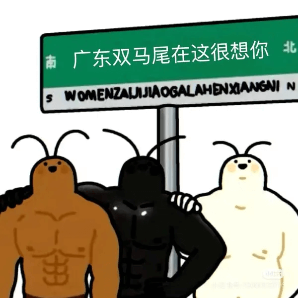 北南广东双马尾在这很想你NWOMENZAUIJIAOGALA