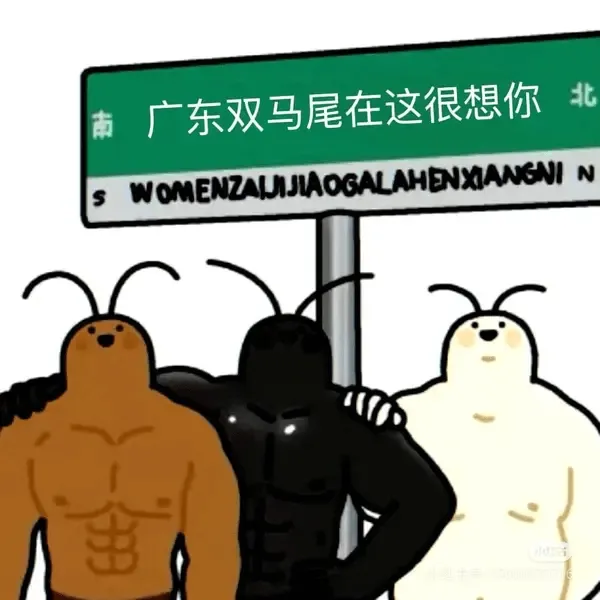 北南广东双马尾在这很想你NWOMENZAUIJIAOGALA