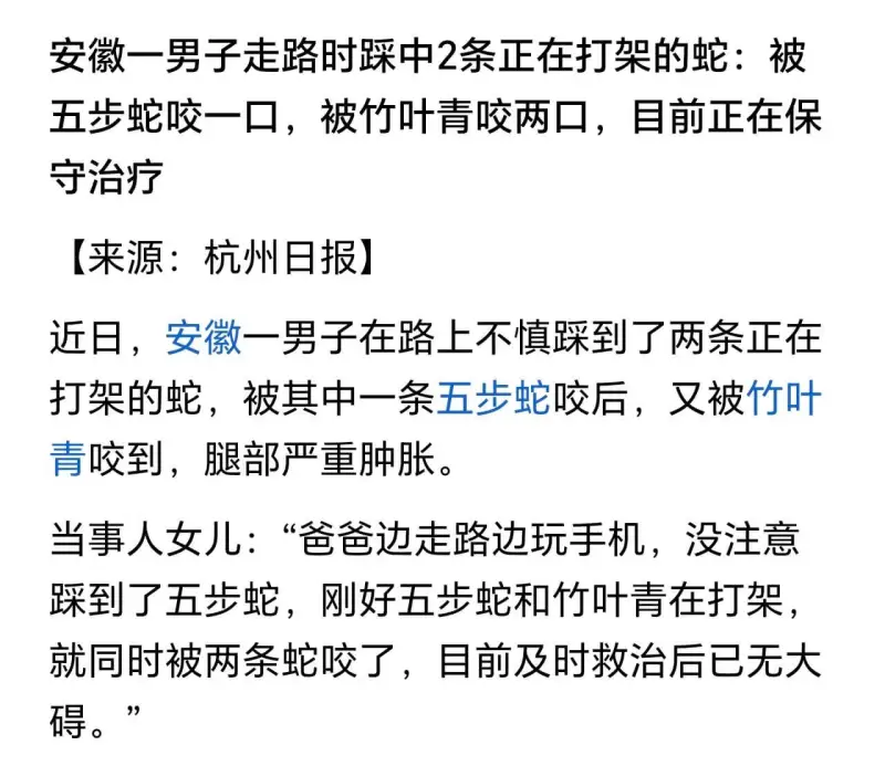安徽一男子走路时踩中2条正在打架的蛇：被五步蛇咬一口，被竹叶