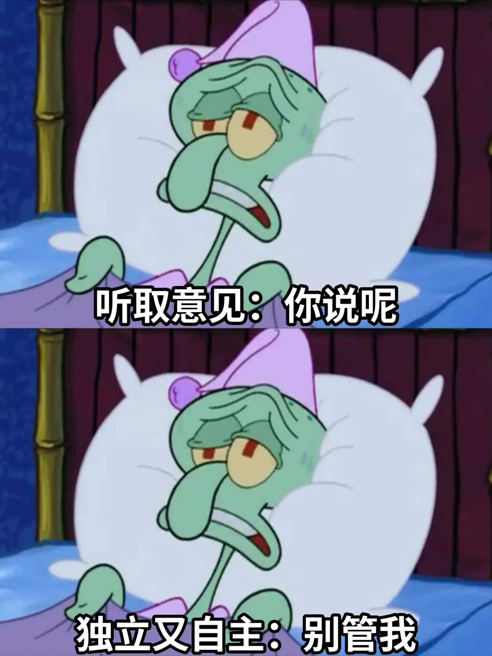 听取意见：你说呢独立又自主：别管我