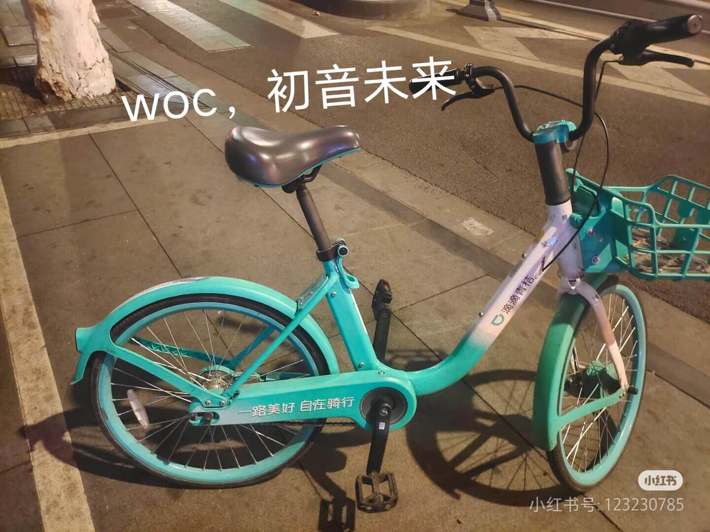 初音未来WOC,桔路美好自在骑行小红书小红书号：123230