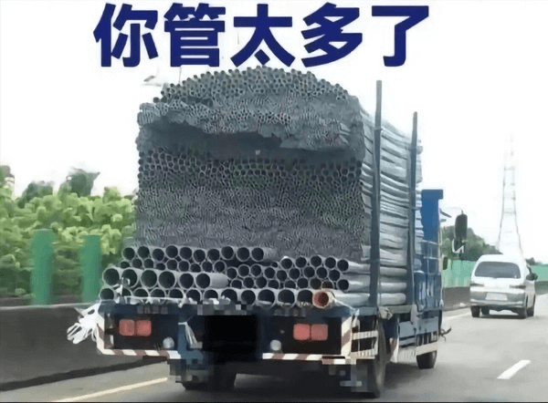 你管太多了