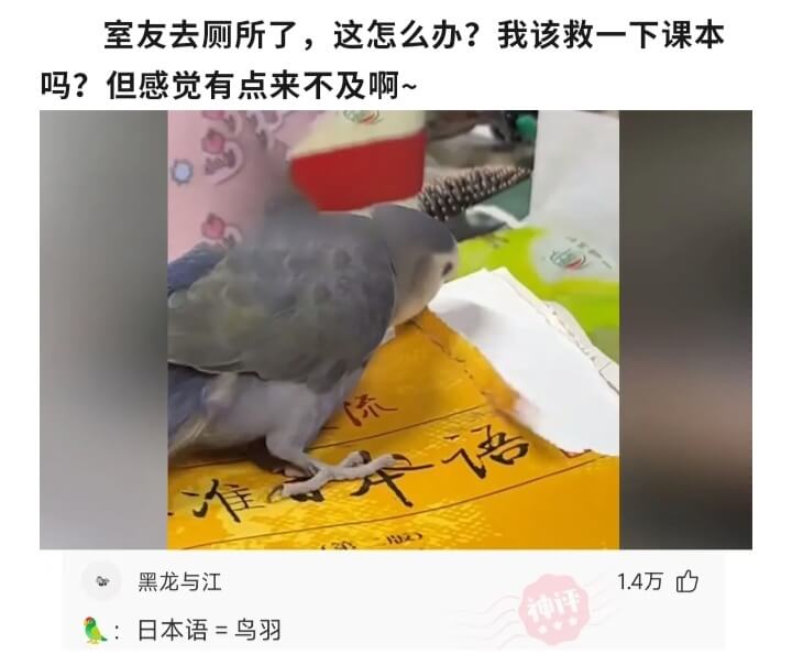室友去厕所了，这怎么办?我该救一下课本吗?但感觉有点来不及啊