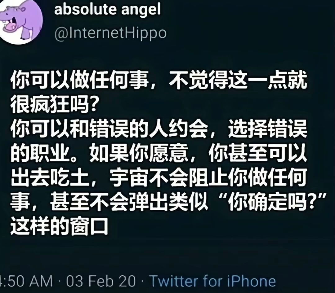 absoluteangel@lnternetHippo你可以
