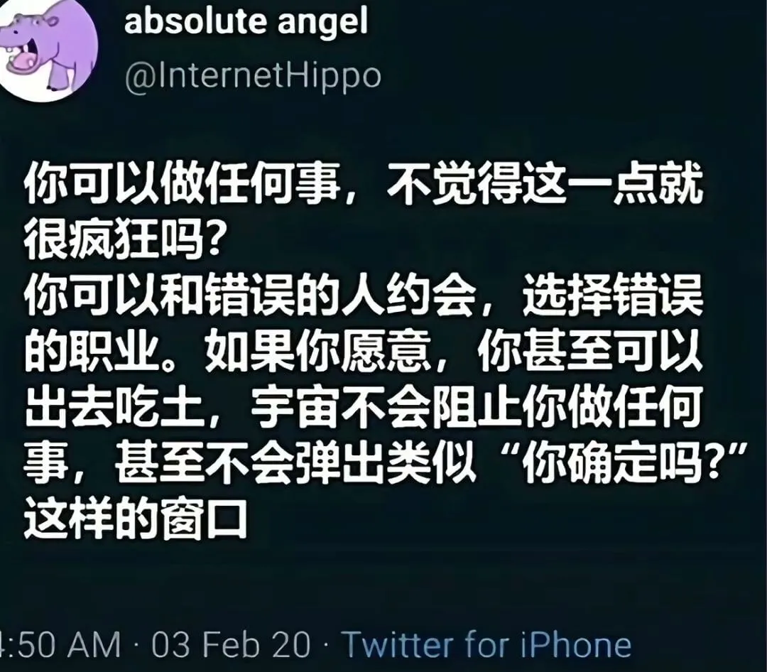absoluteangel@lnternetHippo你可以