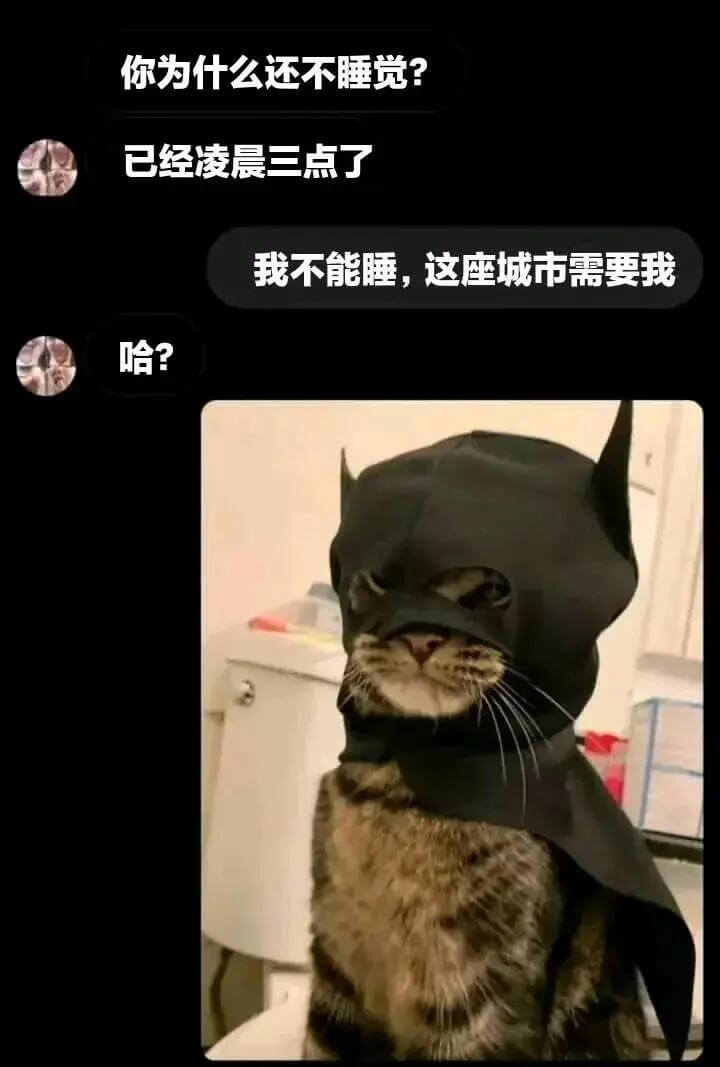 你为什么还不睡觉？已经凌晨三点了我不能睡，这座城市需要我哈？