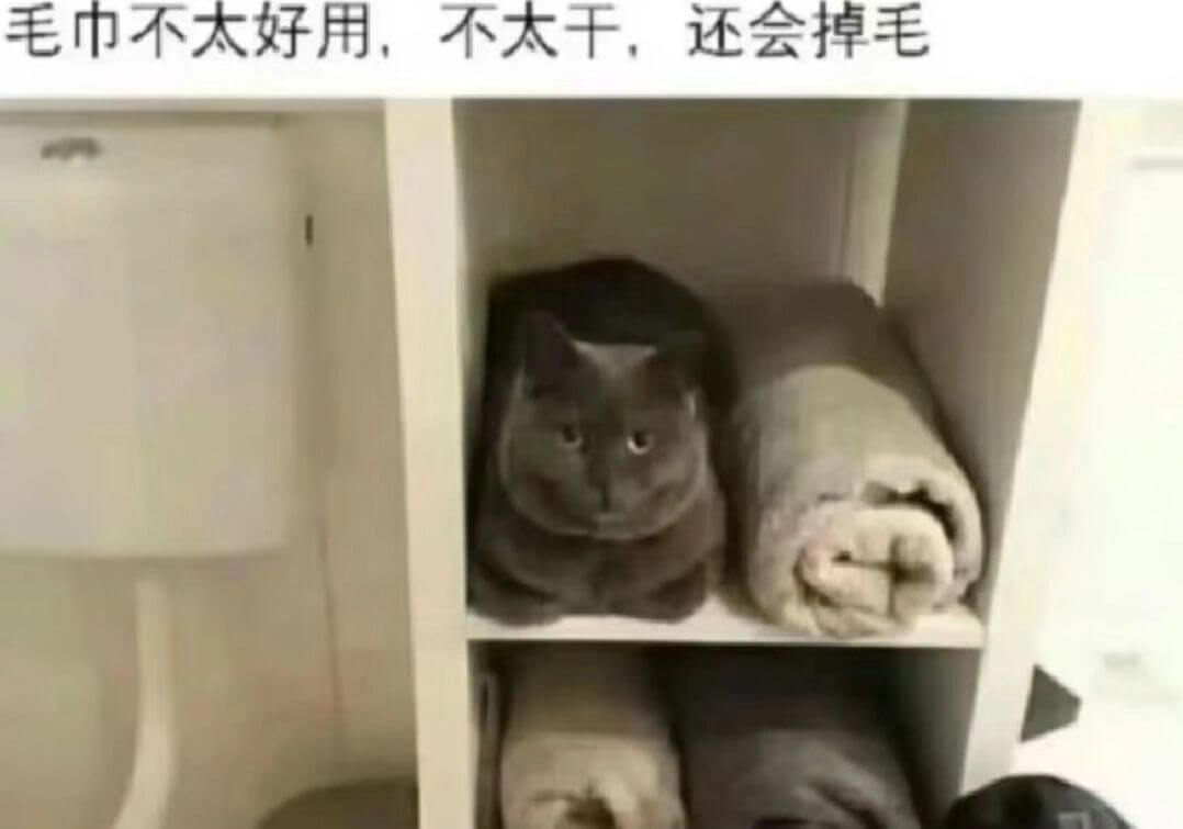毛巾不太好用，不太干，还会掉毛