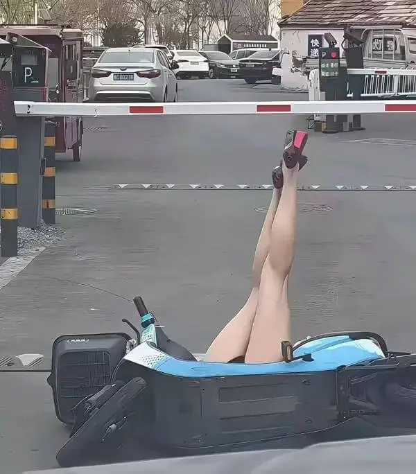 我管你这那的