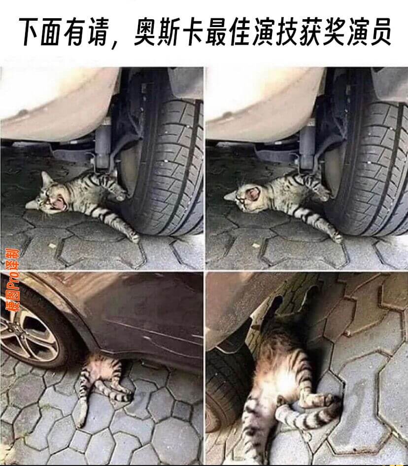下面有请，奥斯卡最佳演技获奖演员
