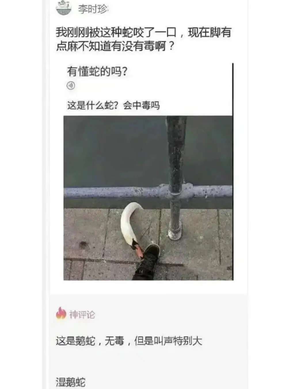 我刚刚被这种蛇咬了一口，现在脚有点麻不知道有没有毒啊?有懂蛇