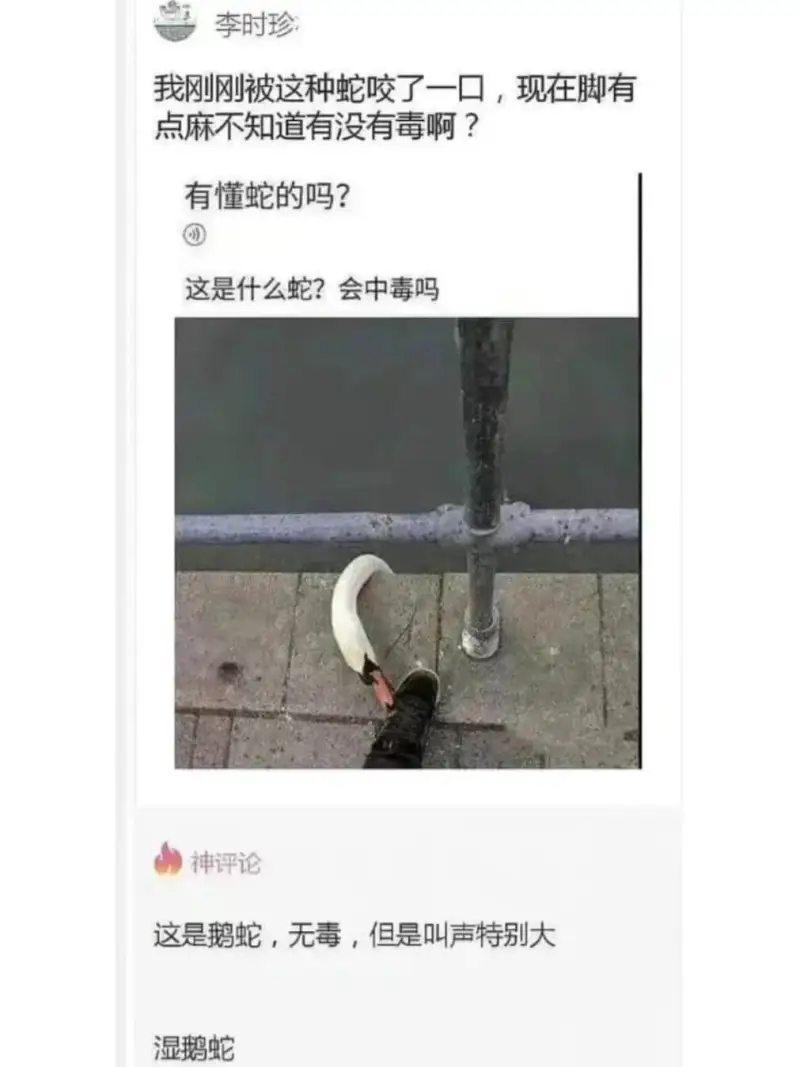 我刚刚被这种蛇咬了一口，现在脚有点麻不知道有没有毒啊?有懂蛇