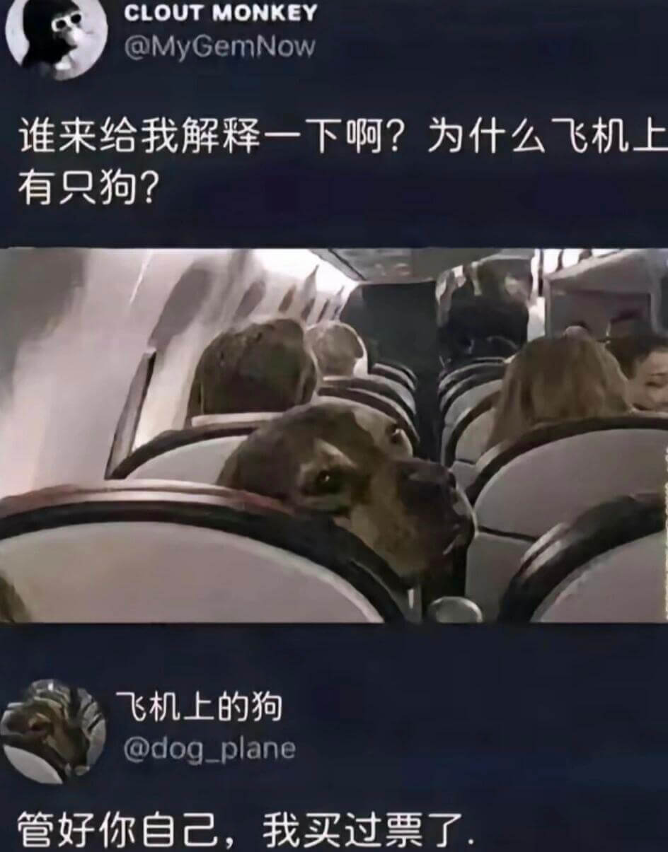 CLOUTMONKEY@MyGemNow谁来给我解释一下啊？