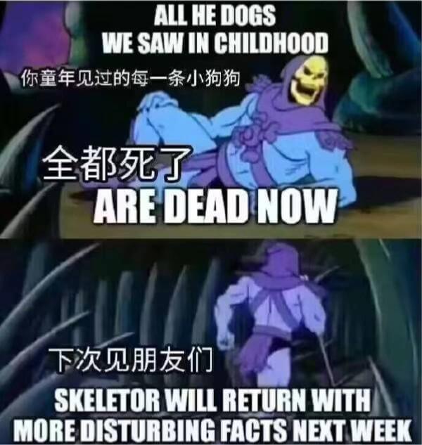 ALLHEDOGSWESAWINCHILDHOOD你童年见过