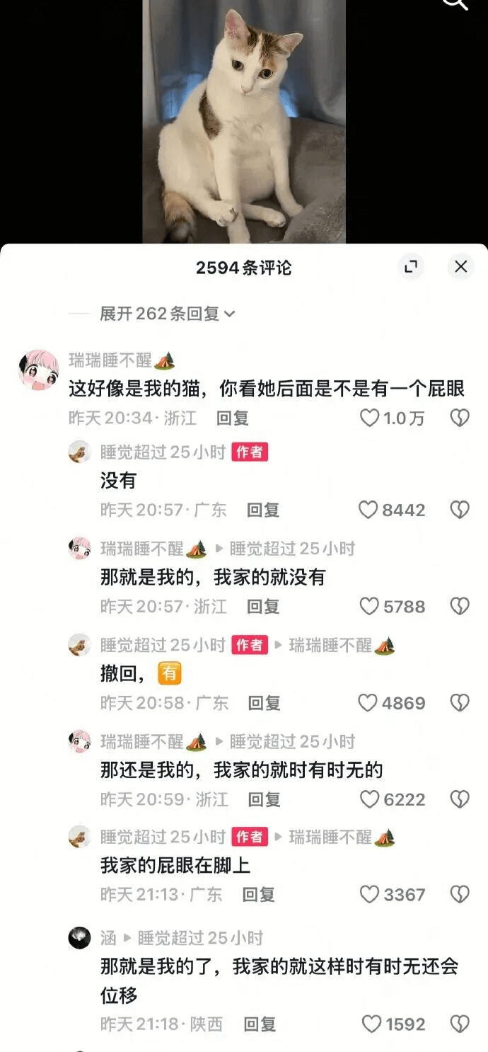 2594条评论X展开262条回复V瑞瑞睡不醒这好像是我的猫，