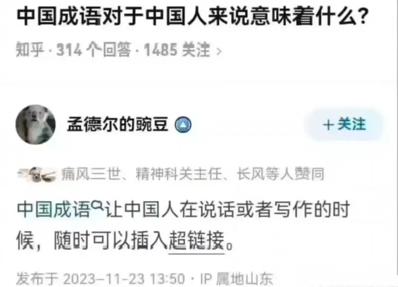 中国成语对于中国人来说意味着什么？知乎·314个回答·148