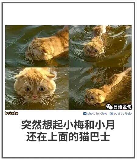 日语金句bokotoaphotobyGoloodaibyGe