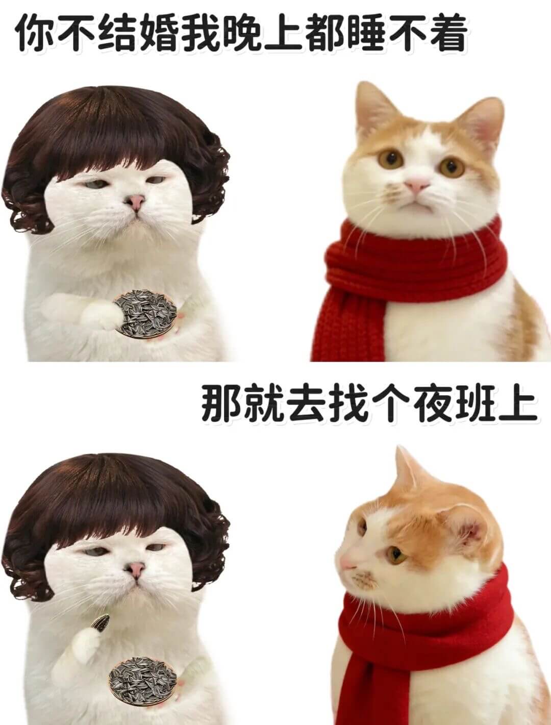 你不结婚，我晚上都睡不着。那就去找个夜班上。