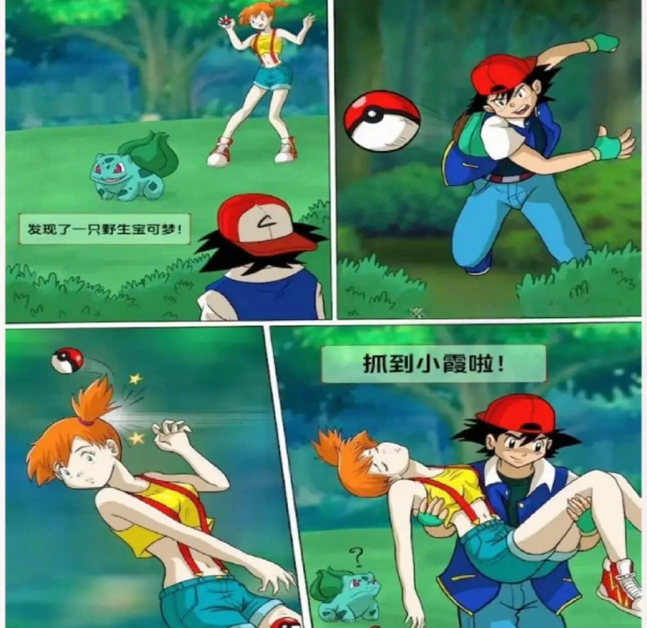 发现了一只野生宝可梦！抓到小霞啦！